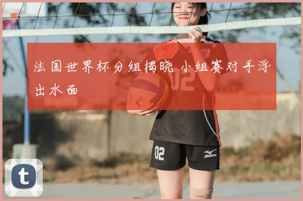 法国世界杯分组揭晓 小组赛对手浮出水面