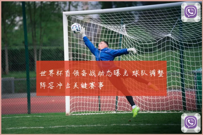 世界杯首领备战动态曝光 球队调整阵容冲击关键赛事