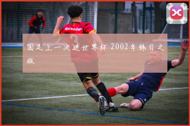 国足上一次进世界杯 2002年韩日之旅